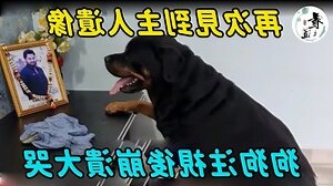 遺像