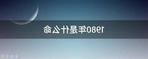 1980年是什么命