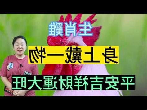 屬雞佩戴飾物