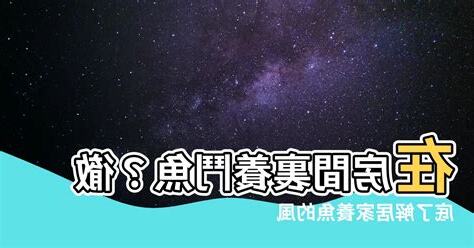 鬥魚房間風水