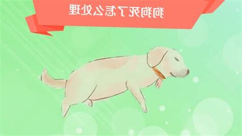 狗狗死掉