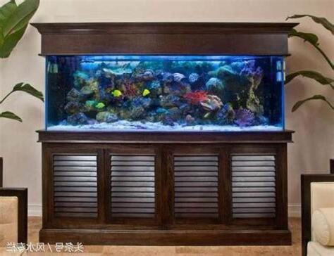 開門見魚缸