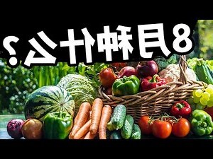 八月是什麼季節