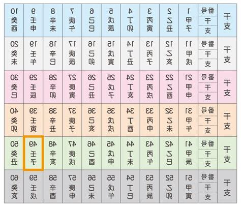 壬子大運