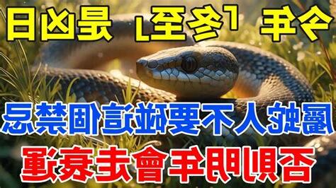 屬蛇禁忌