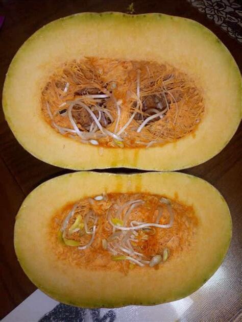 南瓜裡面白白的