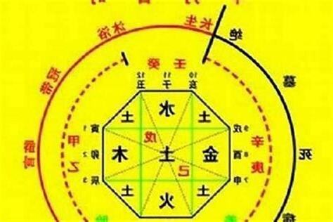 查自己五行
