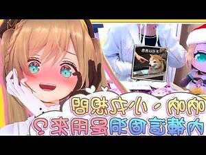 內褲破洞會漏財嗎