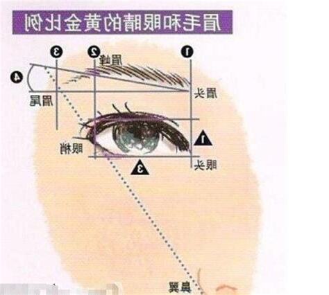 修眉比例