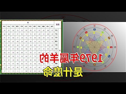 1979年属什么