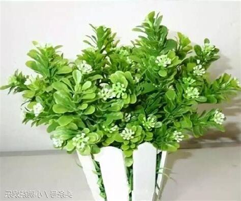 家中擺假花