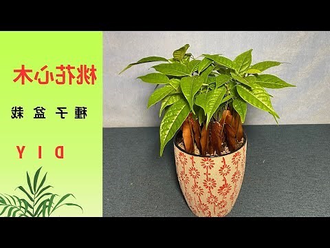 家中種桃花