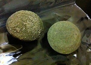 租屋處磁場不好