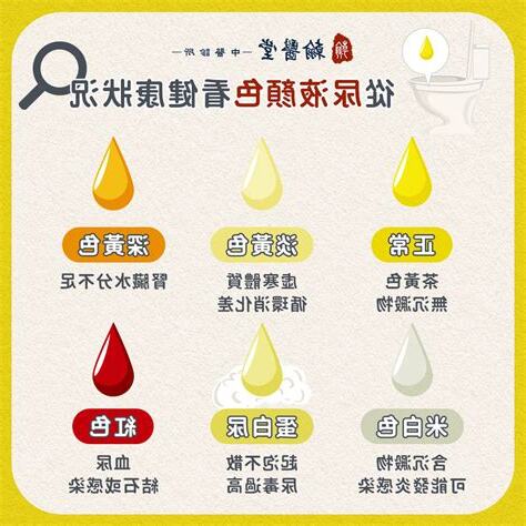 蛋白尿狗尿顏色