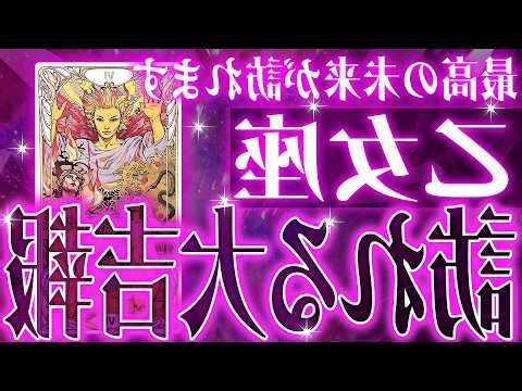 11月23星座