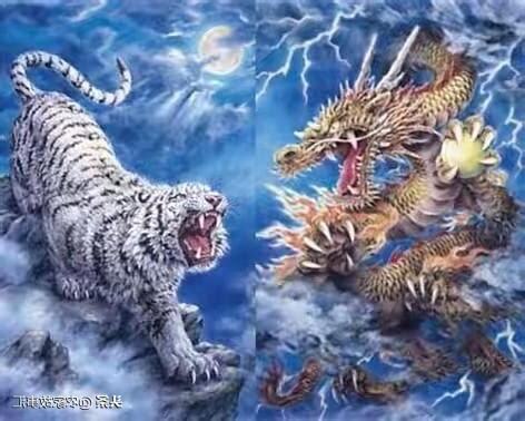 龍虎相爭