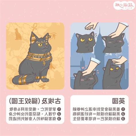 遇到黑貓代表什麼