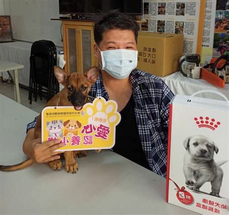 養小動物