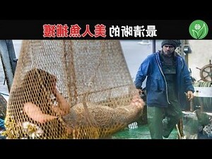 真美人魚