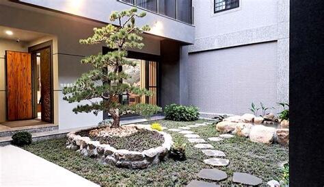 中庭植栽