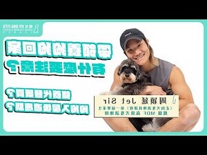 室內養狗注意事項