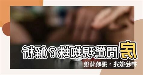房間出現蜘蛛代表