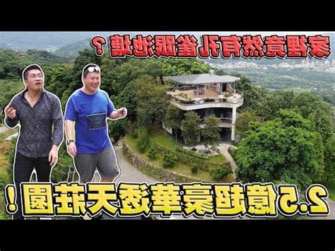 天開圖畫別墅