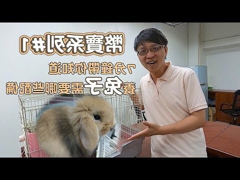 養寵物注意事項