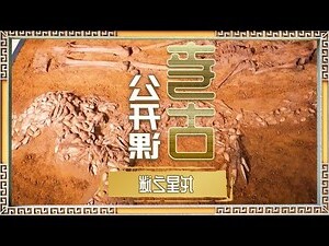1976是什么龙