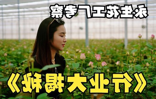 辦公室假花