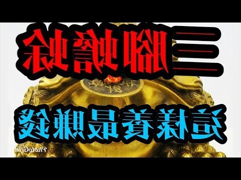 蟾蜍幾隻腳