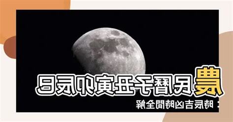 子醜寅日2023