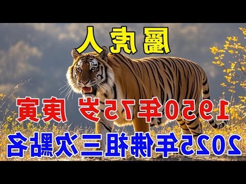 今年屬虎的運勢