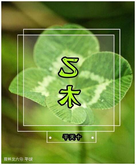 乙木命
