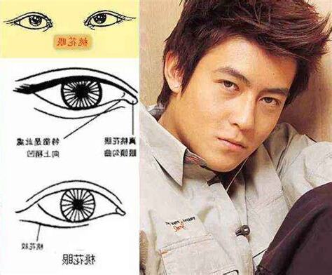 桃花眼男