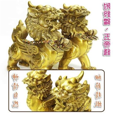貔貅放財位