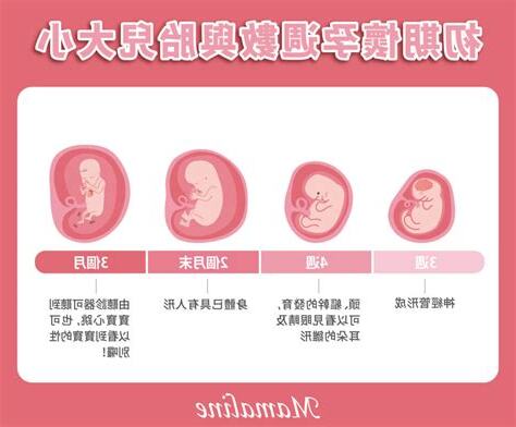 懷孕初期性行為