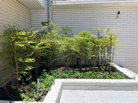門口植栽