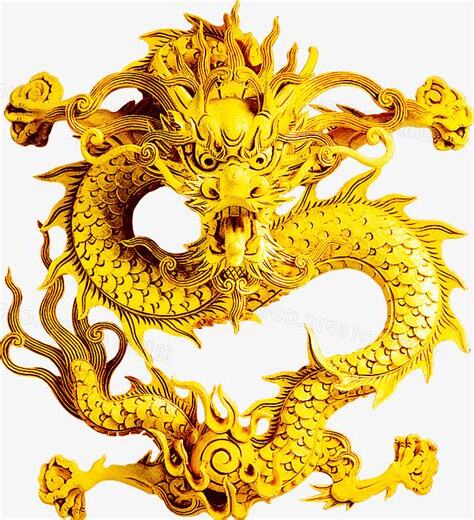 金龍圖片