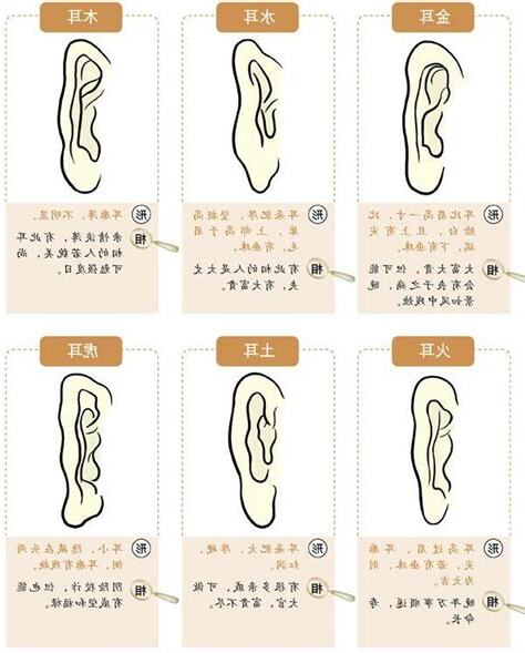 耳面相