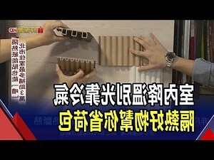 不怕西曬植物