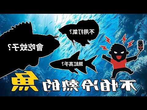 室外養魚