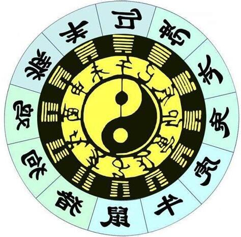 生肖五行相生相剋