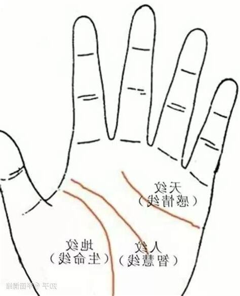 手象