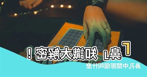 鼻孔中間叫什麼
