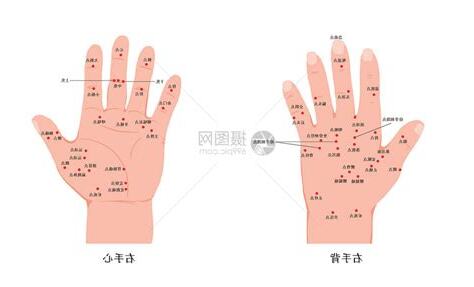 手背醫學英文
