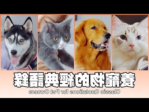動物語錄