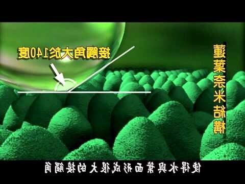 蓮花出淤泥而不染意思