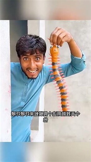 為什麼家裡會出現蜈蚣