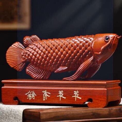 紅龍魚風水